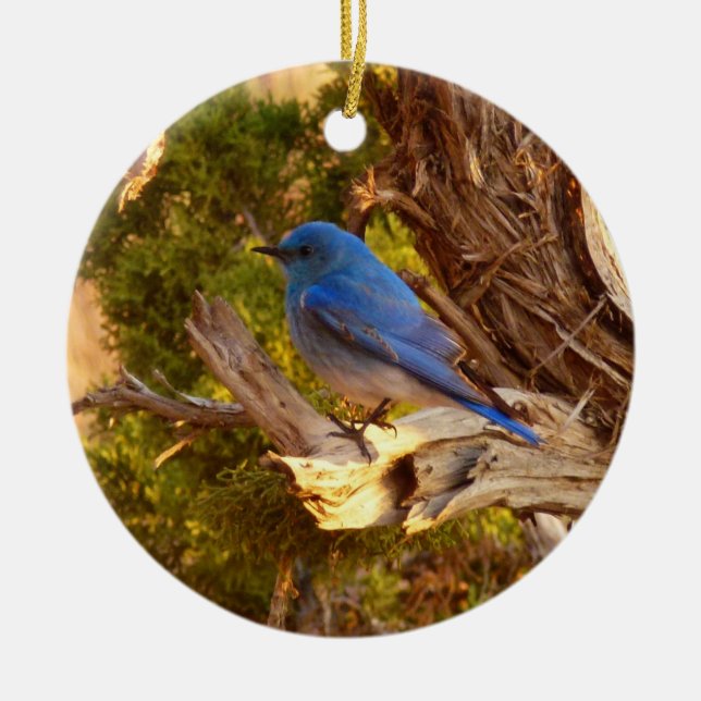 Mountain Bluebird im Nationalpark Arches Keramikornament (Vorne)