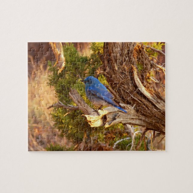 Mountain Bluebird im Nationalpark Arches Puzzle (Horizontal)