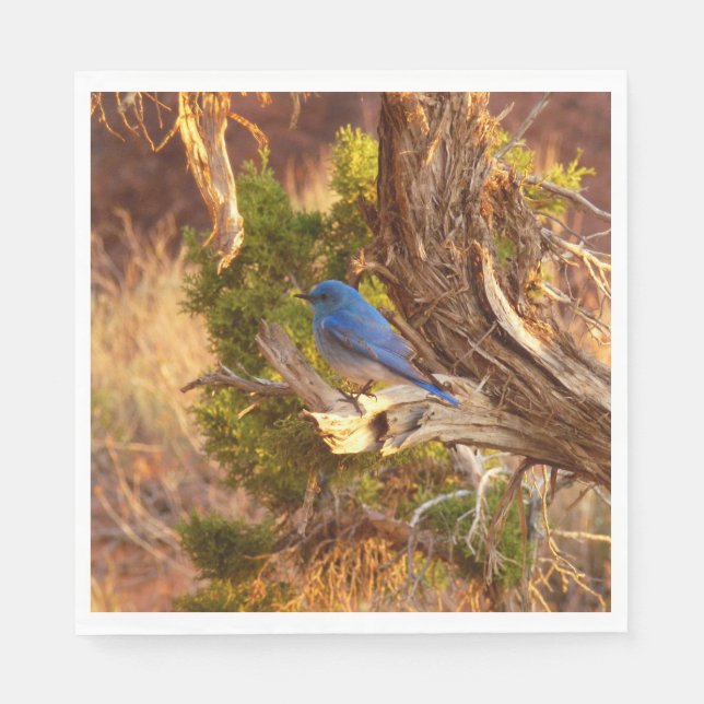 Mountain Bluebird im Nationalpark Arches Serviette (Vorderseite)