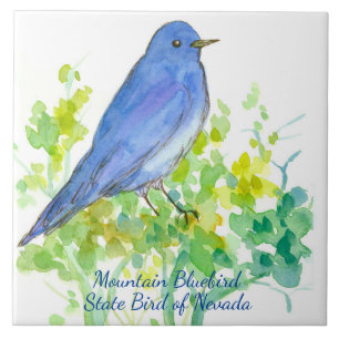 Mountain Bluebird Nevada Staat Bird Wasserfarbe Fliese