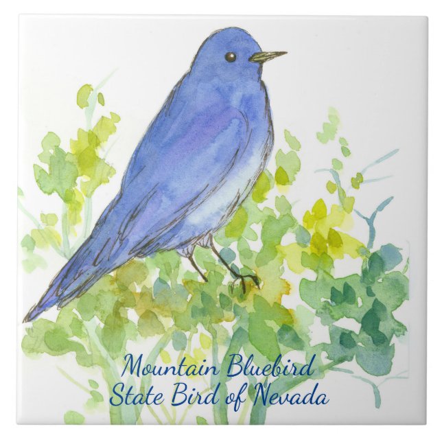 Mountain Bluebird Nevada Staat Bird Wasserfarbe Fliese (Vorderseite)