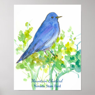 Mountain Bluebird Nevada Staat Bird Wasserfarbe Poster