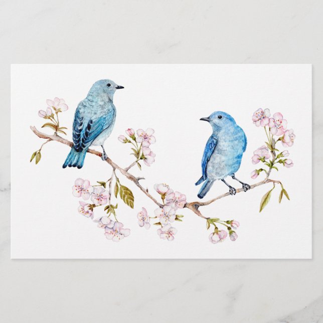 Mountain Bluebirds auf der Zweigstelle Sakura Briefpapier (Vorderseite)