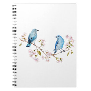 Mountain Bluebirds auf der Zweigstelle Sakura Notizblock
