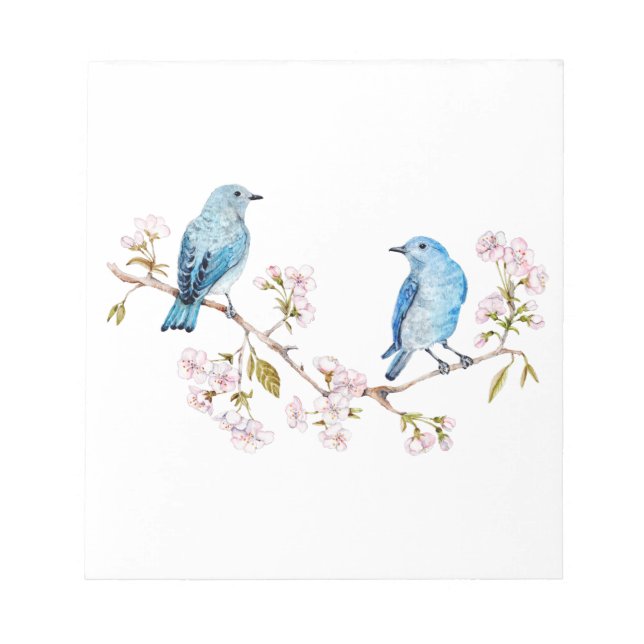 Mountain Bluebirds auf der Zweigstelle Sakura Notizblock (Vorderseite)