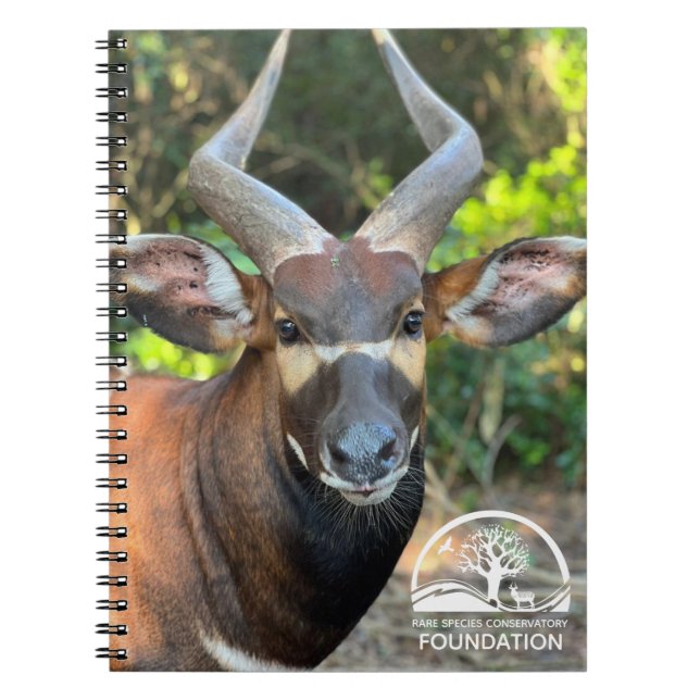Mountain Bongo Notebook Notizblock (Vorderseite)