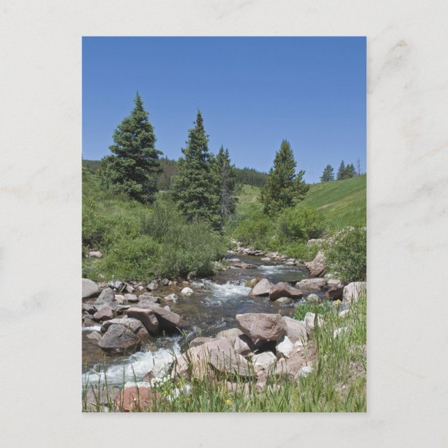 Mountain Colorado Stream Postkarte (Vorderseite)