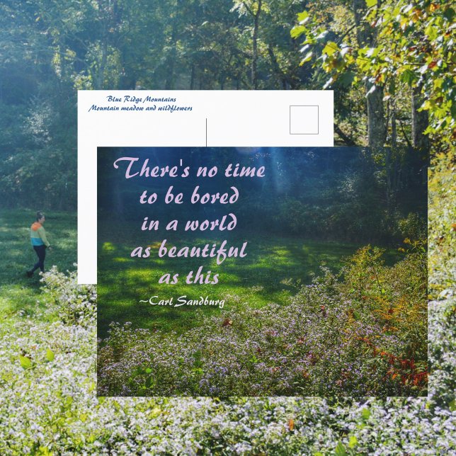 Mountain Field Blue Ridge Mountains Sandburg Zitat Postkarte (Von Creator hochgeladen)