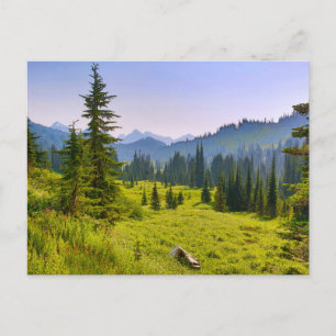 Mountain & Forest Landschaft Washington Staat Postkarte