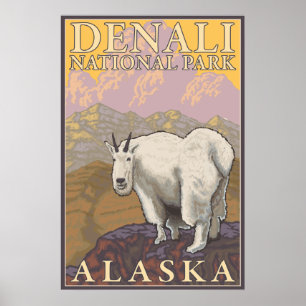 Mountain Goat - Denali Nationalpark, Alaska Poster