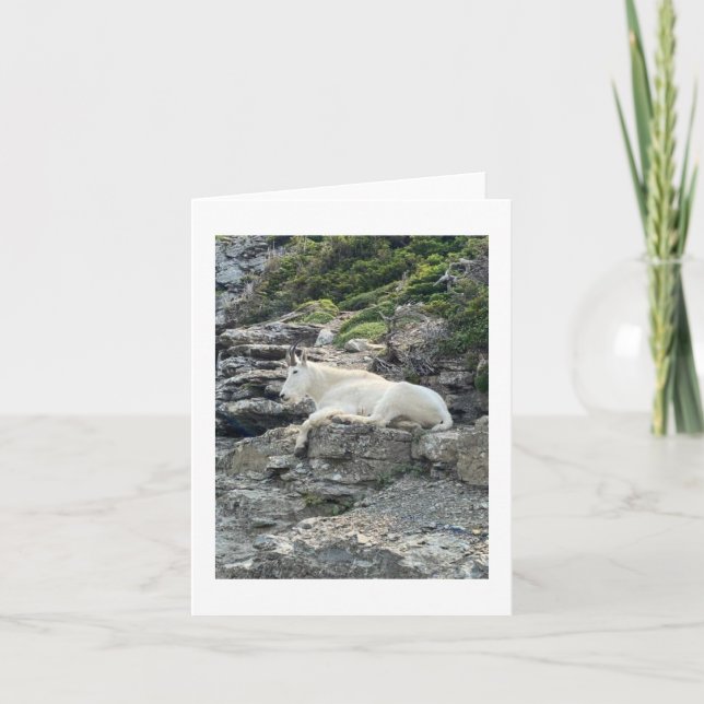 Mountain Goat Foto Note Card (Vorderseite)