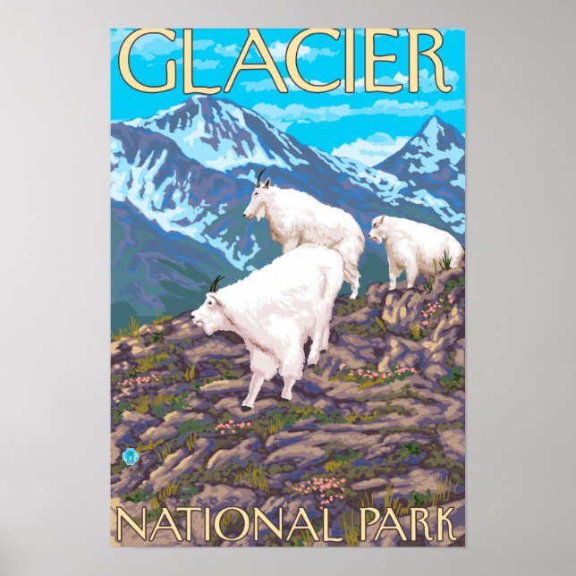 Mountain Goats Scene - Glacier National Park, Poster (Vorne)