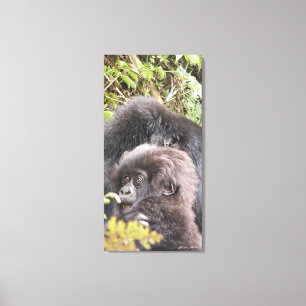 Mountain Gorilla Baby 20 x 40 in. Leinwand