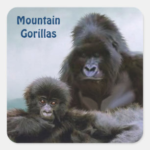 Mountain Gorillas African Wildlife Sticker