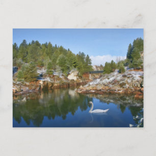 Mountain Lake, Swan, Reflections Postcard Postkarte