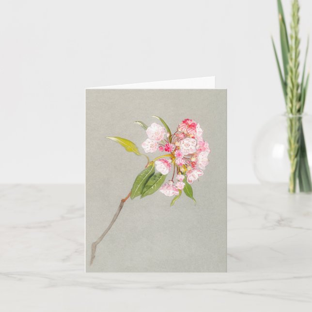 Mountain Laurel Blossom Blank Note Card Dankeskarte (Vorderseite)