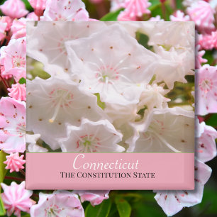 Mountain Laurel Connecticut Staat Blume Magnet