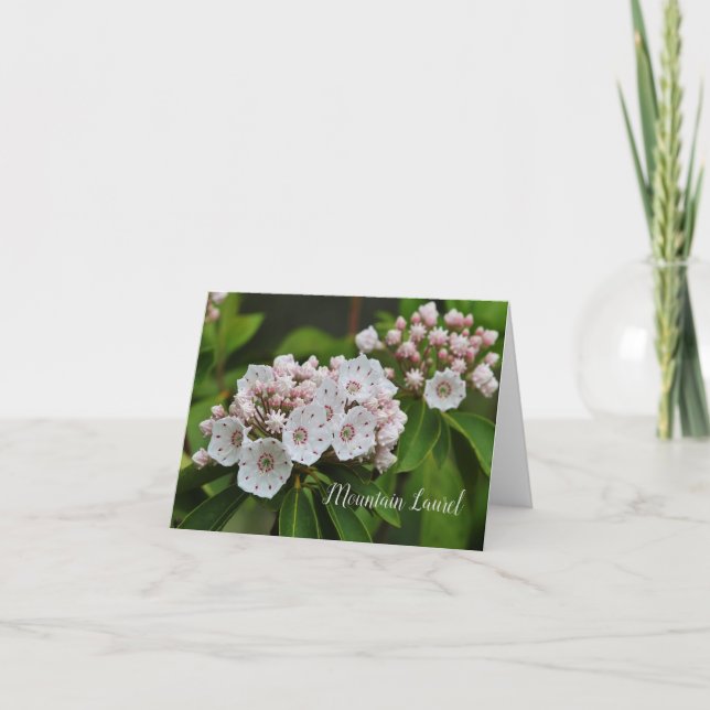 Mountain Laurel Foto Note Card (Vorderseite)