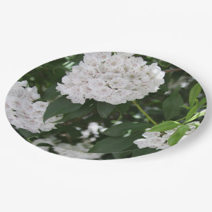 Mountain Laurel White Blume Pappteller