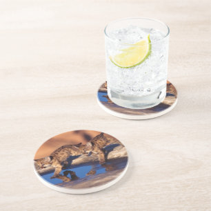 Mountain Lion Cubs Stone Untersetzer