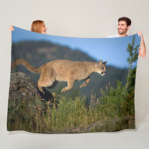 MOUNTAIN LION FLEECEDECKE
