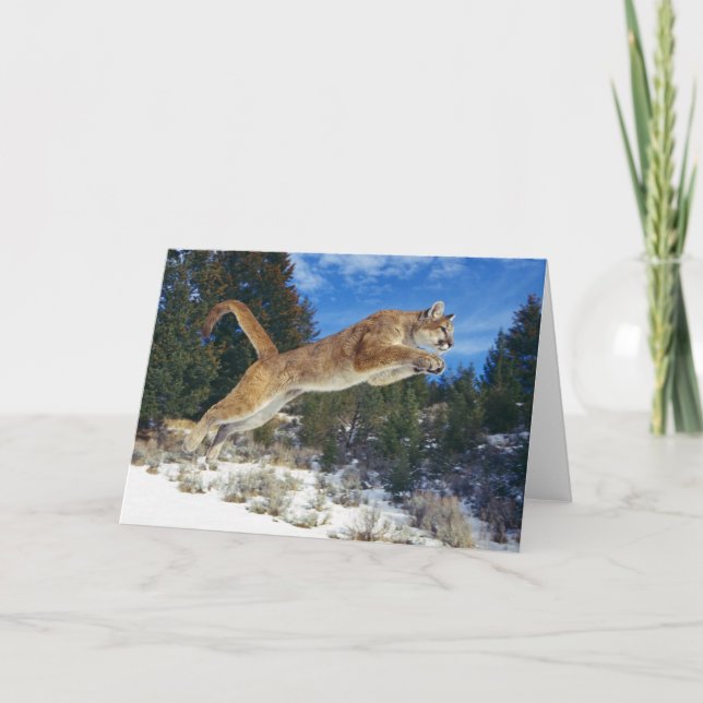 Mountain Lion Grußkarte Karte (Vorderseite)