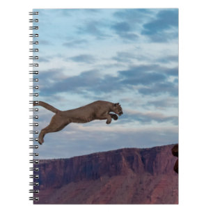 Mountain Lion Jumping Morning Skyjump,lion,animal, Notizblock
