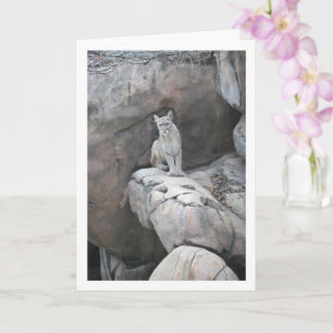 Mountain Lion Karte
