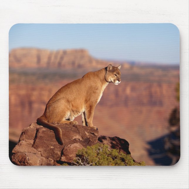 Mountain Lion Maus Pad Mousepad (Vorne)