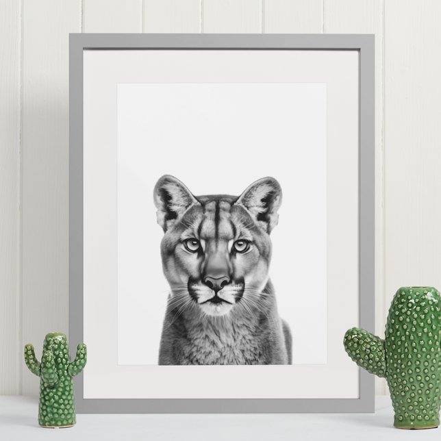 Mountain Lion Puma Big Cat Schwarz-weiß Poster (Von Creator hochgeladen)