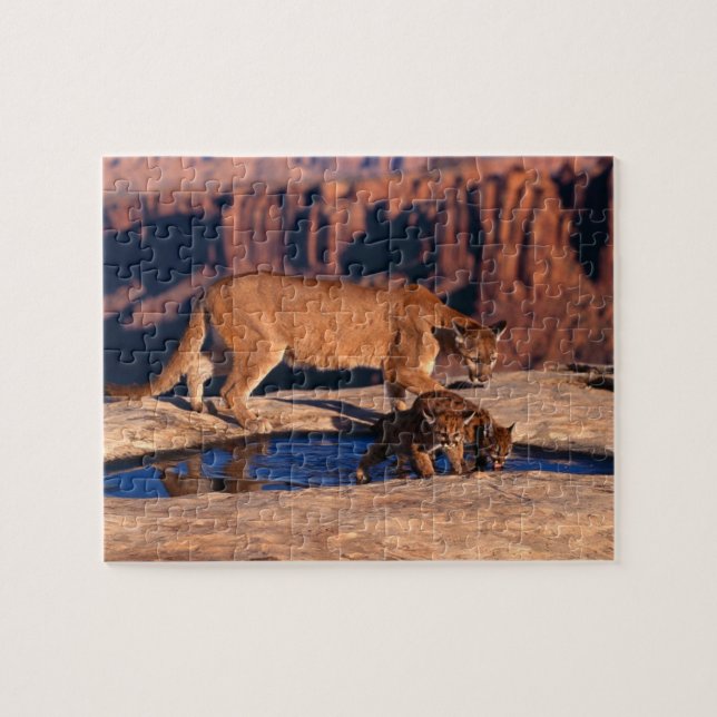Mountain Lion Puzzle (Horizontal)
