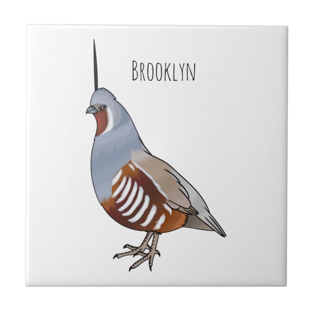 Mountain quail bird cartoon illustration  fliese (Vorderseite)