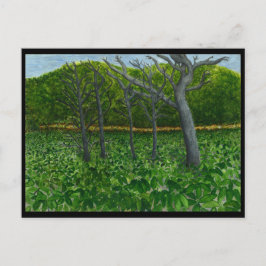 Mountain Serenity Postkarte