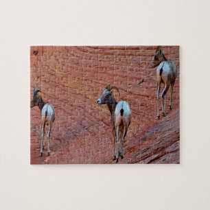 Mountain Sheep Utah Puzzle
