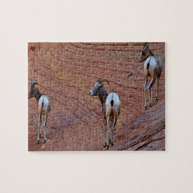 Mountain Sheep Utah Puzzle (Horizontal)