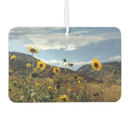 Mountain Sunflowers Schöne Außenanlagen Foto Autolufterfrischer