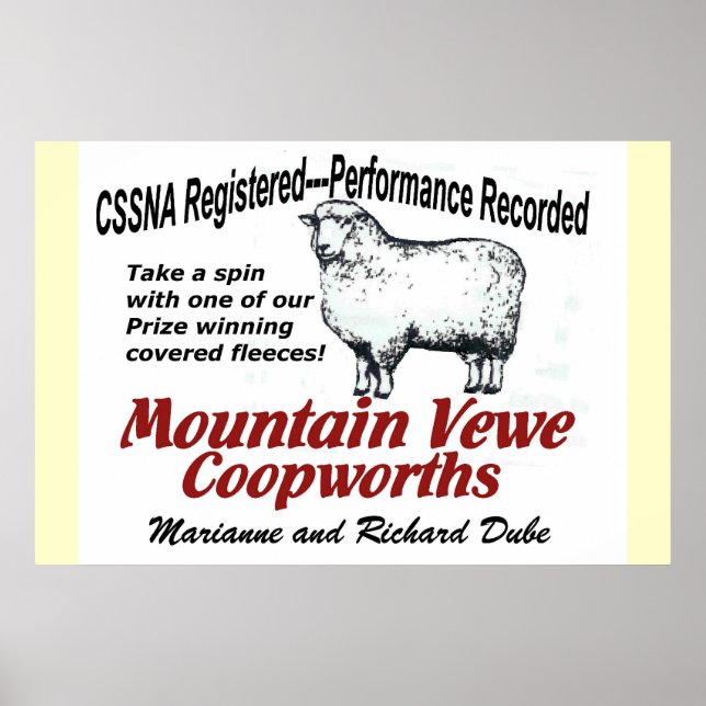 Mountain Vewe Coopworth Poster (Vorne)