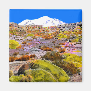 Mountain View Perus Anden #1 Magnet