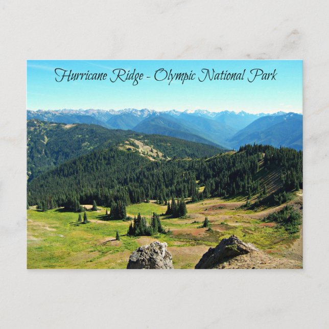 Mountain Vista of Hurricane Ridge Postkarte (Vorderseite)