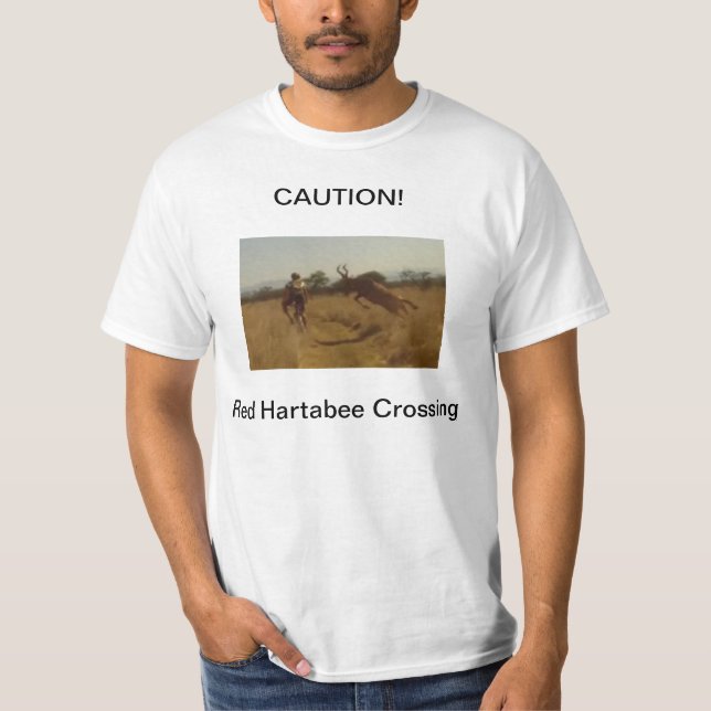 Mountainbiker gegen Dollar in Afrika T-Shirt (Vorderseite)