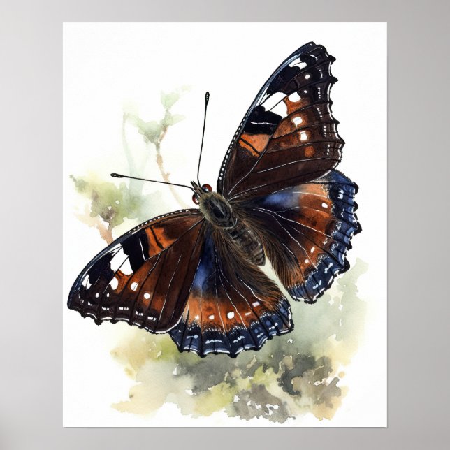 Mourning Cloak Butterfly Art Print Poster (Vorne)