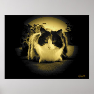 Mouse-Augenansicht Poster