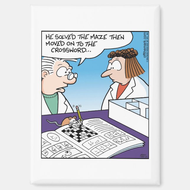 Mouse in Maze  Magnet (Vorderseite)