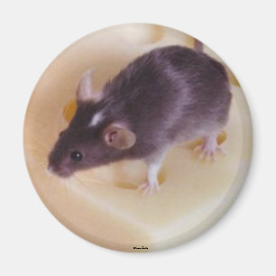 Mouse Magnet