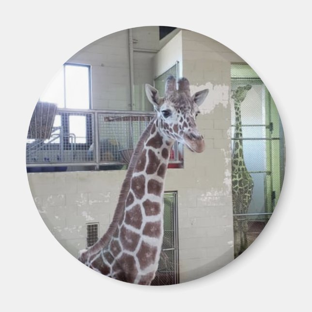 Mouse Magnet #2 (Vorne)