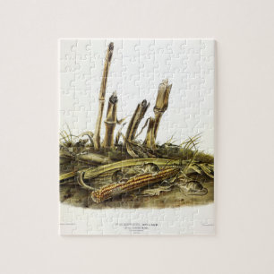 Mouse oder Maus mit geringer Ernte Puzzle
