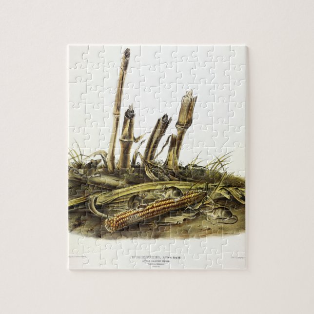 Mouse oder Maus mit geringer Ernte Puzzle (Vertikal)