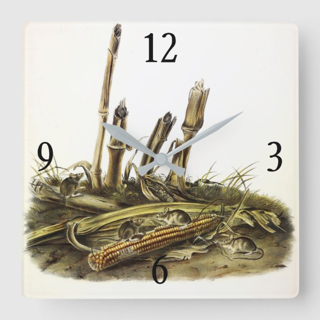 Mouse oder Maus mit geringer Ernte Quadratische Wanduhr (Vorderseite)
