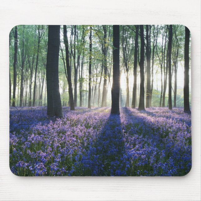 Mouse Pad Forest Mousepad (Vorne)