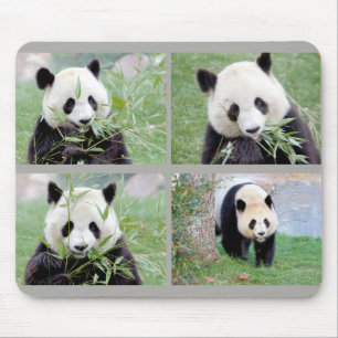 Mouse Pad Foto Riesenpanda , Tiere 0264. Mousepad